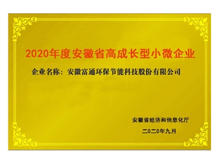 安徽省高成長型小微企業