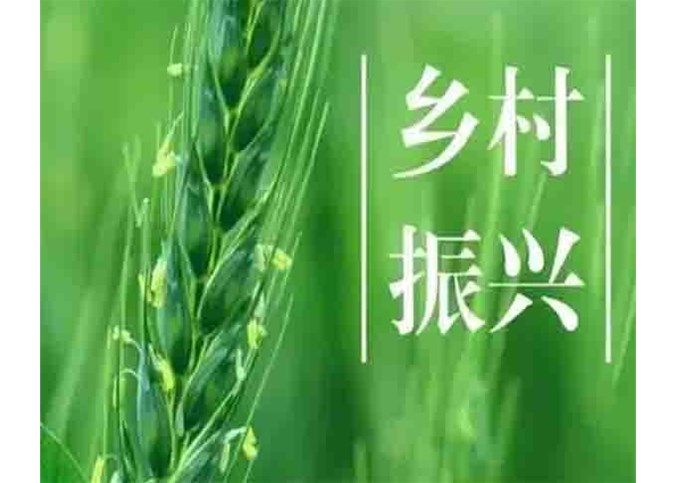 農業農村部：鄉村振興5年內投7萬億，錢從哪來？錢到哪去？