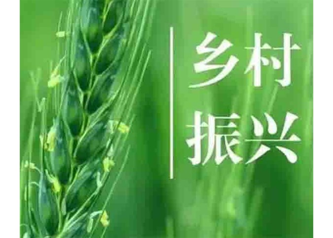 18個省委書記談鄉村振興！快來劃重點！