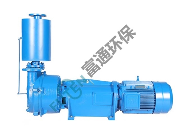 2FV6液環真空泵